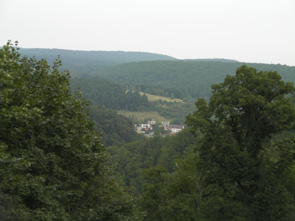 Guest House Wanda Wałbrzych Kültér fotó